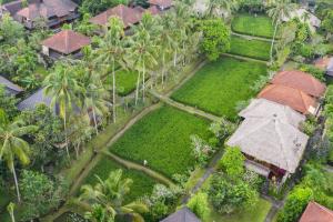 Kebun di luar Ananda Ubud Resort