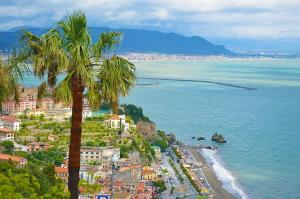 una palmera en la parte superior de una playa en LA SCALINATELLA -vista mare-, en Vietri