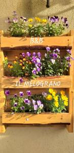 Fotografie z fotogalerie ubytování B&B Il Melograno v destinaci Tortorella