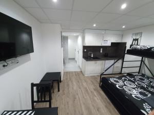Televízia a/alebo spoločenská miestnosť v ubytovaní Small Apartments Denisa Business
