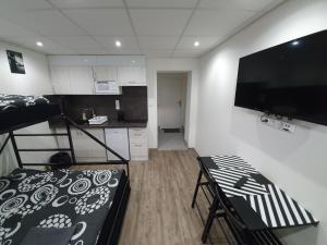 Televízia a/alebo spoločenská miestnosť v ubytovaní Small Apartments Denisa Business