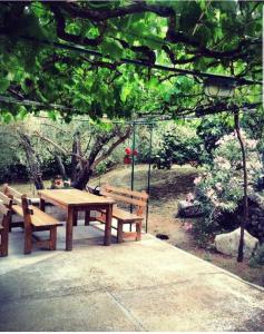 Ein Garten an der Unterkunft VILLA DIVNA