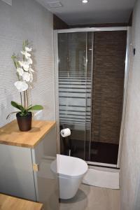 a bathroom with a toilet and a glass shower at VILLA GARDEN in Tarragona