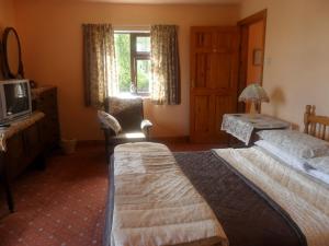 Gallery image of Glen House Room Only Accommodation in Youghal