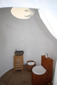 a bathroom with a sink and a toilet at Les Esplanes in La Garde-Adhémar