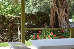 A garden outside Korina's Apartments
