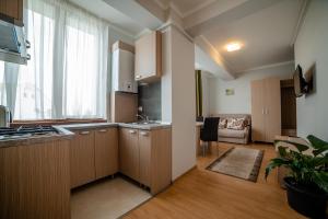 a kitchen with wooden cabinets and a large window at Elis Residence in Cluj-Napoca