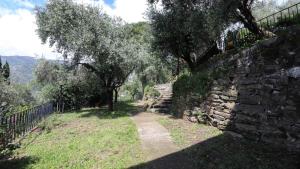a stone path next to a stone wall with trees at Italianway - San Bartolomeo 7 in Rapallo