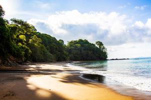 a view of a beach with trees and the ocean at Choibana Ecolodge in Bahía Solano