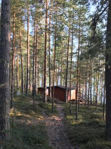 a cabin in the middle of a forest with trees at Koskenselkä Camping in Puumala
