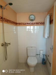 a bathroom with a toilet and a shower at maison de vacance in Tafraoute +28 photos