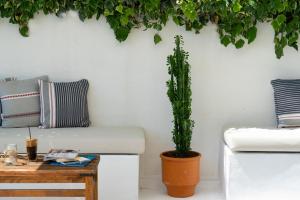 a plant in a pot next to a couch and a table at Akti Hotel Kavala in Paleo Tsifliki