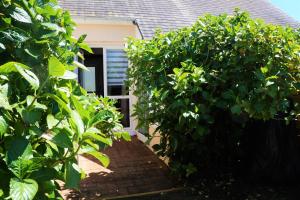 Κήπος έξω από το LILWENN