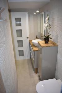 a bathroom with a sink and a toilet and a mirror at VILLA GARDEN in Tarragona