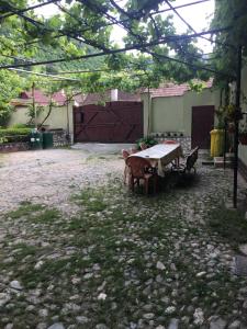 a patio with a table and chairs in a yard at Pensiunea Adelaida in Gura Râului