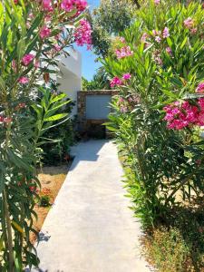 einen Garten mit rosa Blumen und einem Gehweg in der Unterkunft Nefeli in Livadion