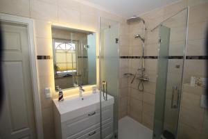 青斯特的住宿－Fewo Anna，浴室配有盥洗盆和带镜子的淋浴