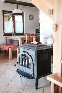 a kitchen with a stove in the middle of a room at Domki Białogóra in Białogóra