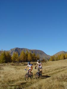 two people riding bikes in a field at Kärnten Card inkludiert - Apartments nahe Bad Kleinkirchheim in Afritz