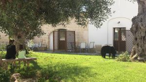 Kép Masseria Pappo szállásáról Copertinóban a galériában Még 31 kép