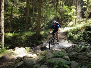 a man riding a bike on a trail in the woods at Kärnten Card inkludiert - Apartments nahe Bad Kleinkirchheim in Afritz