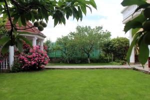 una casa con un patio verde con flores rosas en Casa Monica, en Băile Felix
