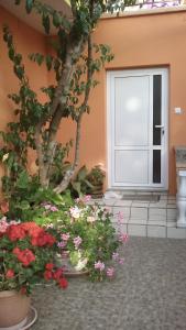 una puerta con flores delante de un edificio en Apartments Mirjana, en Petrčane