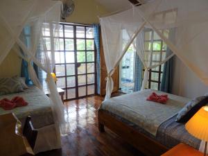 a bedroom with two beds and a large window at Hotel Pura Vida in Puerto Viejo