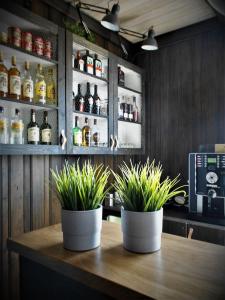 um bar com dois vasos de plantas sobre uma mesa de madeira em Kjølen Hotel Trysil em Trysil