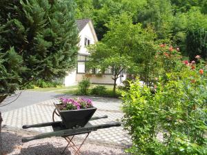 a garden with a flower pot sitting on a bench at fewo amendert in Cochem