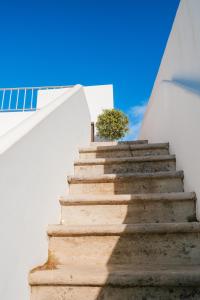 a staircase with a plant on top of it at São Paulo Boutique Hotel - SPBH in Tavira