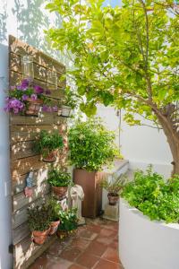 a garden filled with plants and flowers next to a brick wall at São Paulo Boutique Hotel - SPBH in Tavira