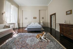 a dog laying on a rug in a living room at Pałac Nakomiady in Nakomiady