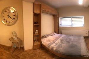 クルジュ・ナポカにあるApartment Vintigeのベッドルーム1室(ベッド1台、壁掛け時計付)