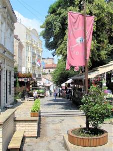 Gallery image of Skadarlija City Break in Belgrade