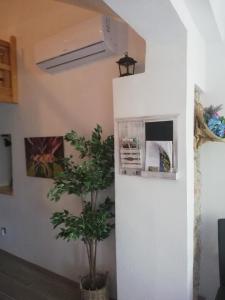 Fotografie z fotogalerie ubytování Studio apartman Braco v destinaci Risika