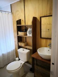a bathroom with a white toilet and a sink at Refugio Simple Sur Casa 4 - 5 personas in Malalcahuello