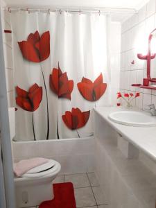 a bathroom with a shower curtain with red flowers on it at Christeluda in Neos Marmaras