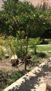 Gallery image of Casa Alma del Elqui Paihuano in Paihuano