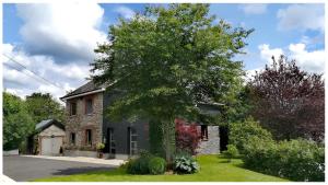 une maison avec un grand arbre en face dans l'établissement L'Ancienne Forge - Gîte à la ferme, à Sainte-Marie