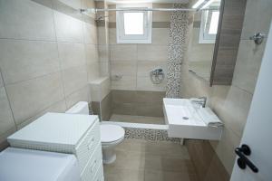 a small bathroom with a toilet and a sink at Ari's Apartment in Vonitsa +15 photos