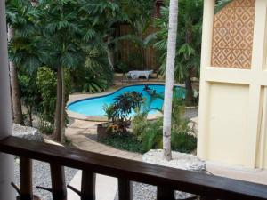 Bazén v ubytování Alona Vida Beach Resort nebo v jeho okolí