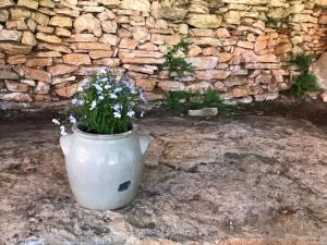 Fotografie z fotogalerie ubytování Chambres d'hôtes Pech Blanc v destinaci Calvignac
