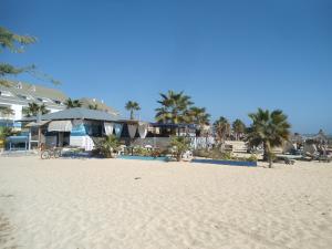 una playa con un edificio y palmeras. en Nautilus Aparthotel en Santa María