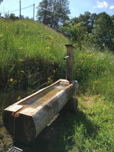 Zahrada ubytování Kleines Paradies Montafon