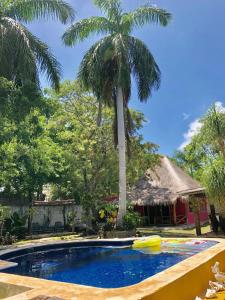 uma piscina com uma palmeira e uma casa em Ch'ejum bungalow em Cancún