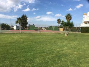 a tennis court with palm trees and a grass field at ApartaClub la Barrosa in Chiclana de la Frontera