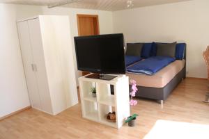 ein Wohnzimmer mit einem TV und einem Sofa in der Unterkunft Chill and Adventure in Ersigen