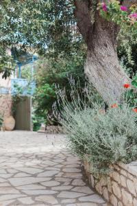 a stone walkway with flowers and a tree at Afroditi Pansion in Agios Nikitas