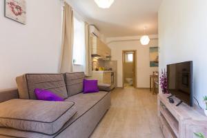TV a/nebo společenská místnost v ubytování Apartments Luksic